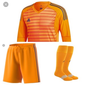 adidas adipro 18 goalkeeper jersey