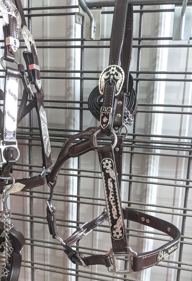 Halter Horse Silver Show - Acentos negros - Margaritas - Tamaño caballo - Plomo a juego Foto 3 de 4
