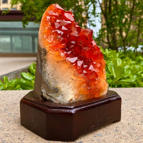 3.42LB Natural citrine geode quartz cluster crystal Cathedrals specimen Healing - 第 9/14 張圖片