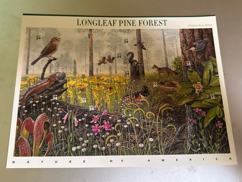 Longleaf Pine Forest First Day Of Issue 2001 - Picture 1 of 2