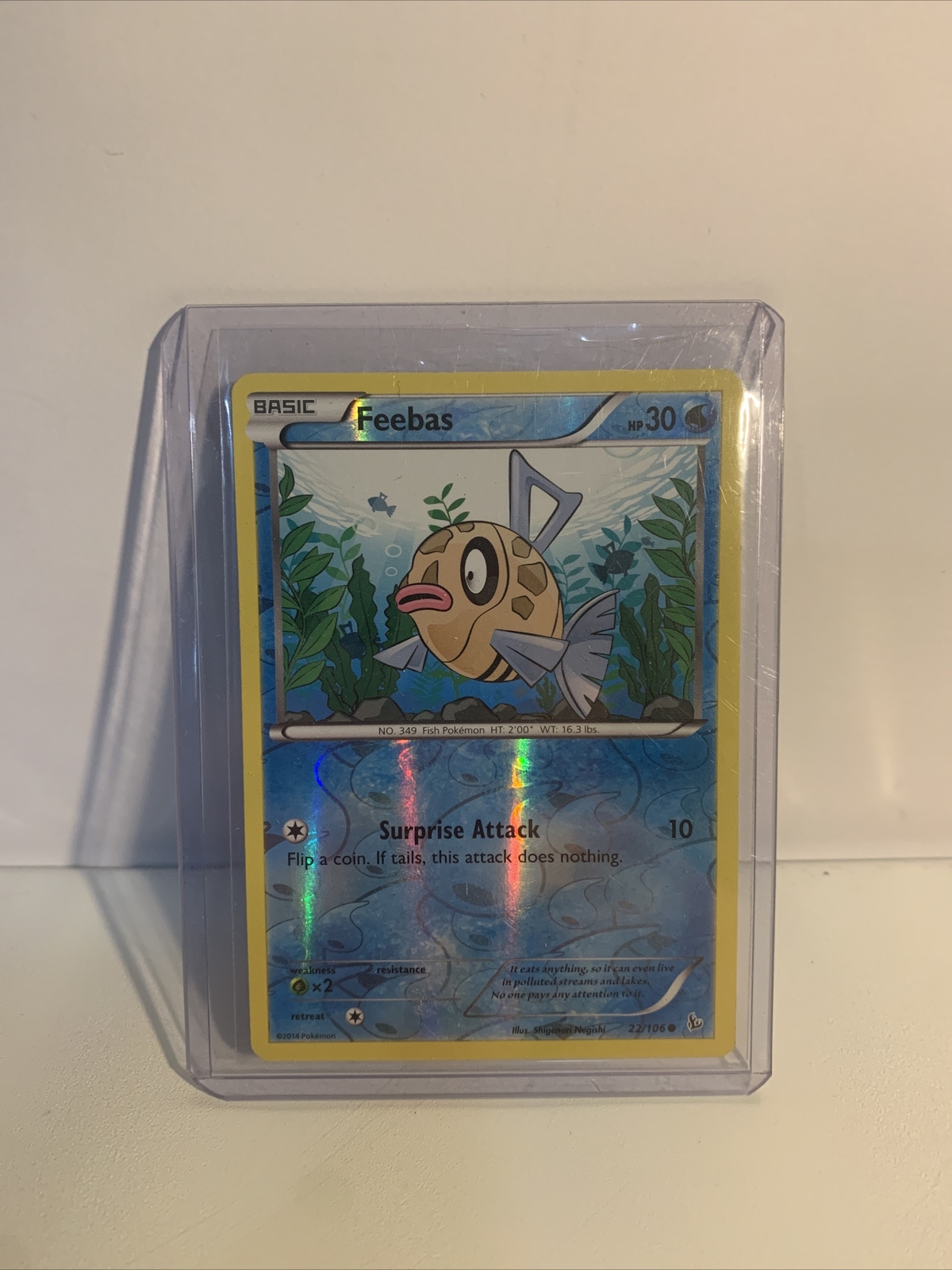 Feebas 22/106 - Flashfire - Common - Reverse Holo - Pokemon Card TCG - LP