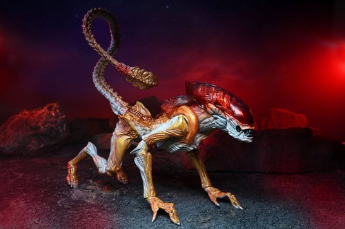 Aliens Action Figure Panther Alien (Kenner Tribute) 23 cm NECA in STOCK - Foto 4 di 11