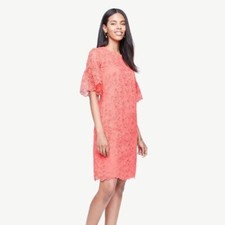 Ann Taylor Leaf Lace Flare Sleeve Shift Dress Deep Coral