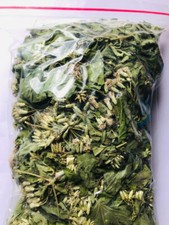 Calea Zacatechichi Mexican Dream Herb 100% Or...
