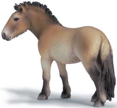 Figurine Schleich 13620 - Cheval De Przewalski (cheval Mongol), Retirée De La Vente, Neuve