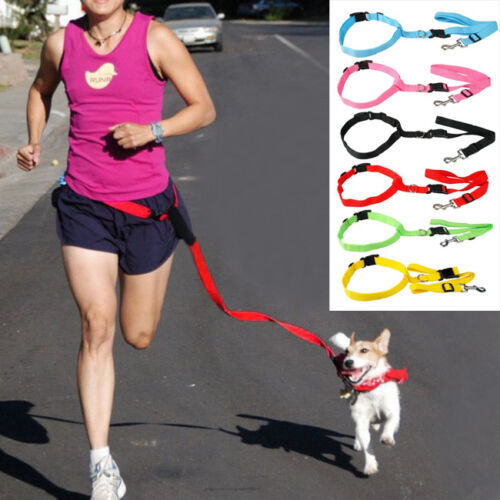 Dog Walking Bag Elby Hands Free Dog Leash With Treat Pouch