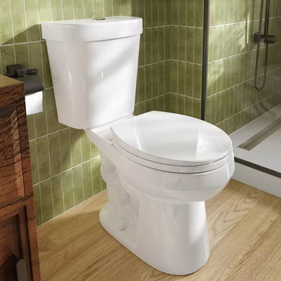 17 In. ADA Chair Height 2-Pcs High-Efficiency 1.28 GPF Dual Flush round Toilet M
