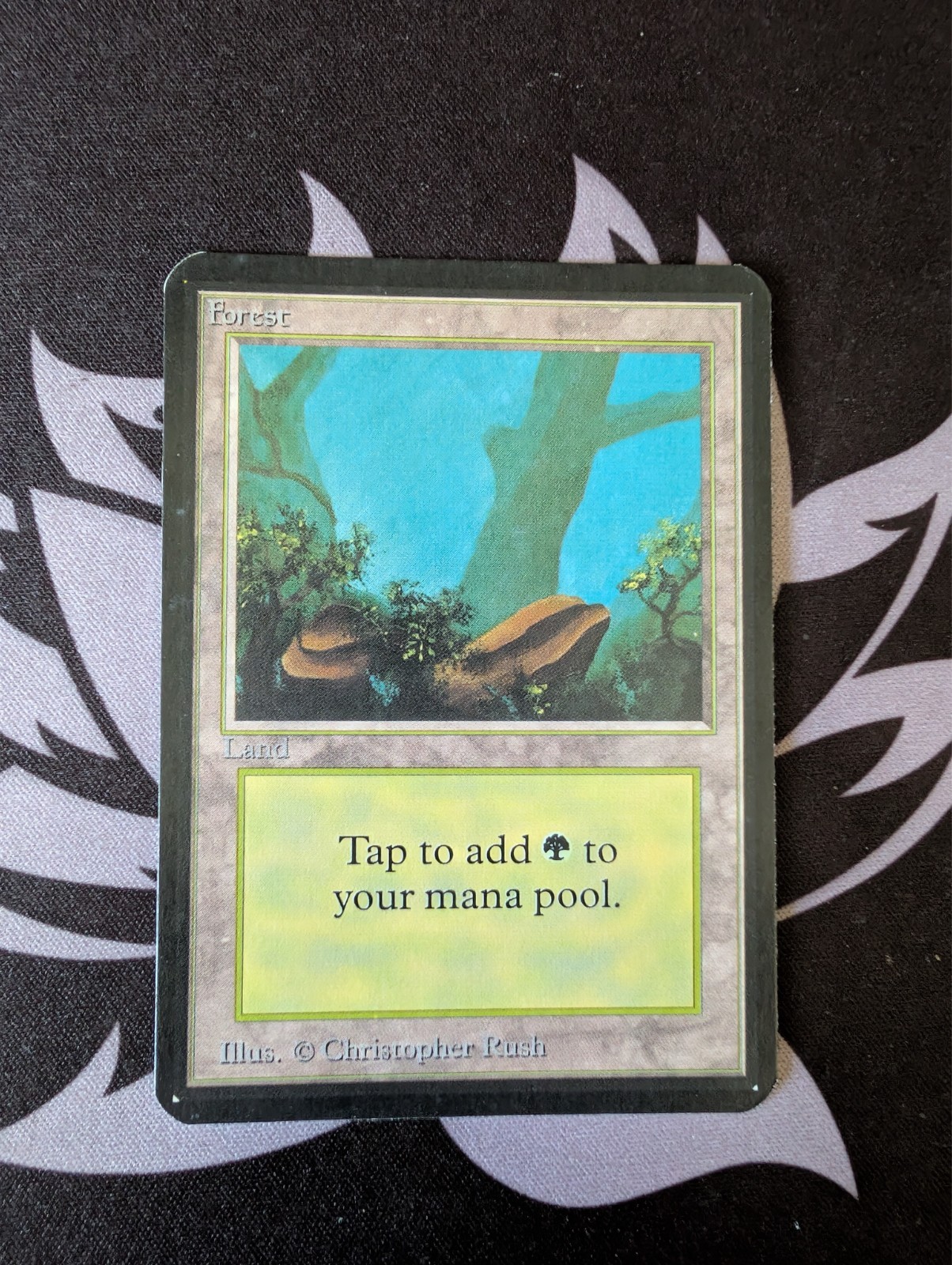 Forest (A)(Rocks) ~ Alpha [Near Mint][Magic MTG]