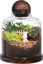 Large Glass Terrarium Succulent Plant Terrarium House for Plant/Moss Ball/Glass