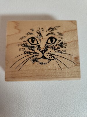 Stampendous V041 Curious Cat Face Stamp 2001 Feline Collection 3'' x 2.5'' USA