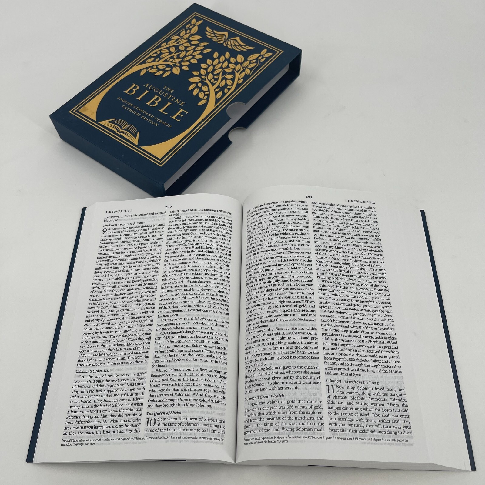 ESV Catholic Bible - Augustine Edition by Augustine Institute ...