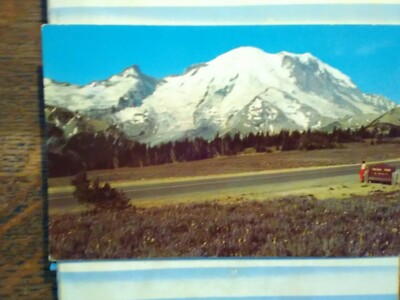 PHOTO POST CARD MOUNT RAINIER & FLOWER DECKED MEADOWS IN WASHINGTON