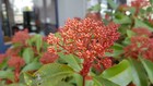 Foto 5 di 5