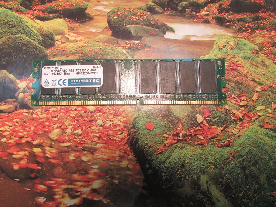 Hypertec 1GB HYMHY1401G PC3200 1GB Memoria RAM - ÚNICA Foto 1 de 1