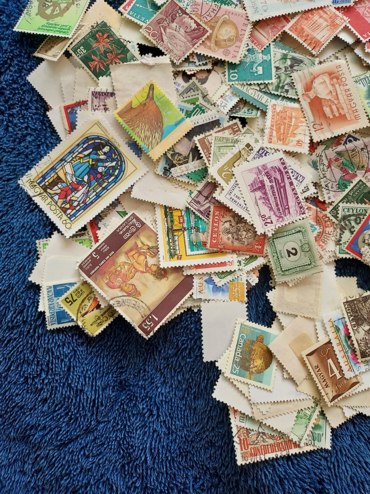 Foto 4 di 5