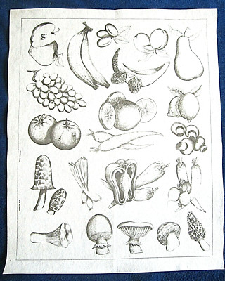 Tri-chem Artex VEGETABLES FRUITS CUTOUTS Mushrooms 70s Retro Pictures paint 1122