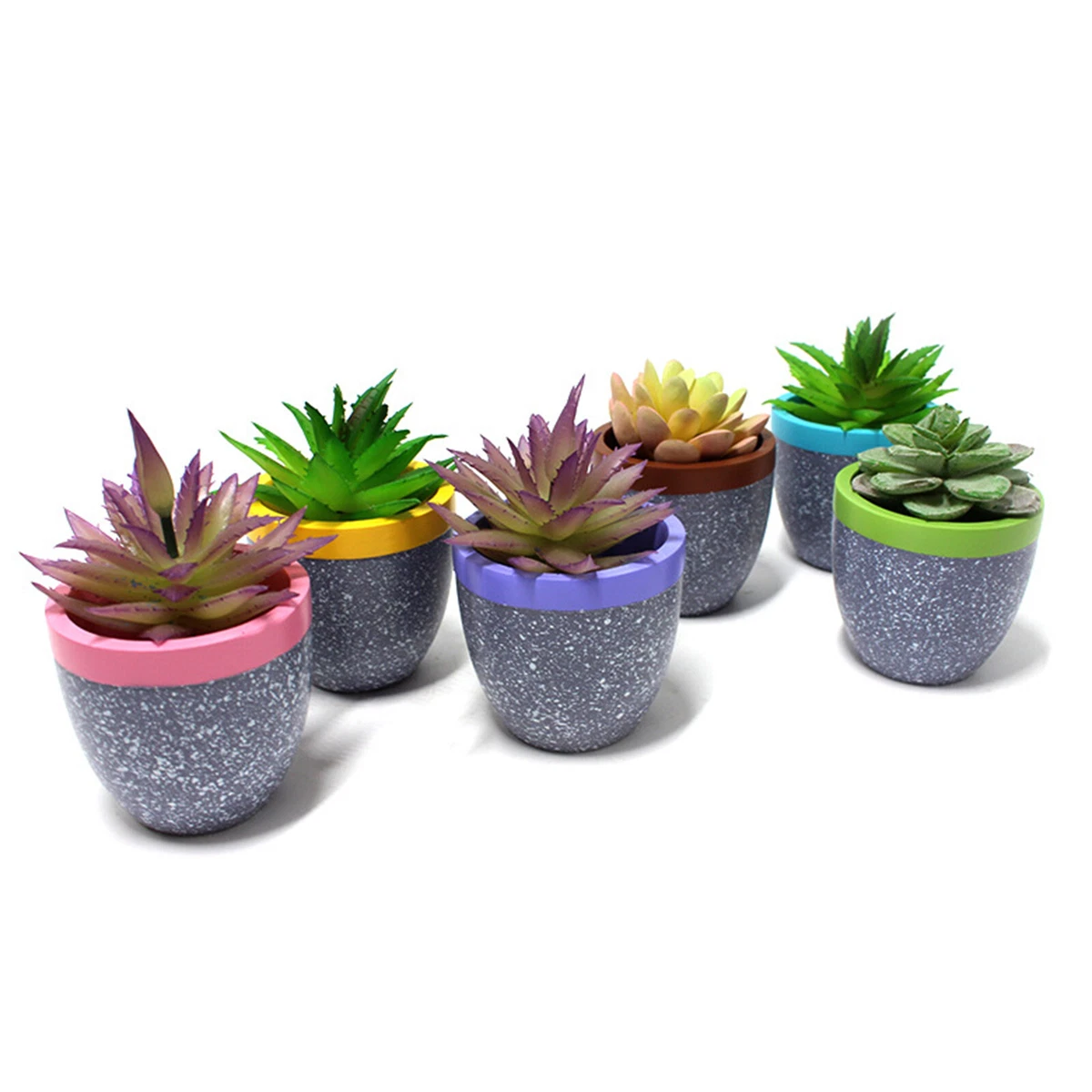 Cute succulent sale pots