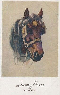 Farm Horse - Artist: E.L. Beckles - Horse Studies Series - Unused