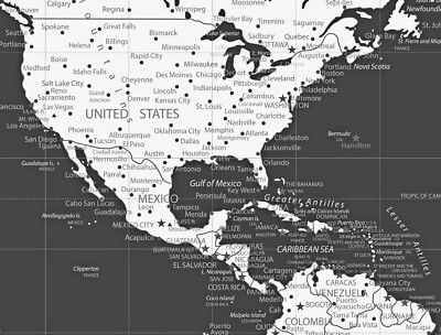 World Travel Map - Poster - Designed for Push Pins, Personalized, Up To 36x54