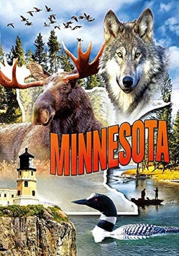 Minnesota 3D Kühlschrankmagnet - Bild 1 von 2