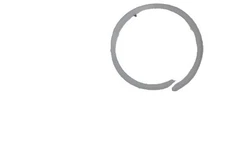 New Holland Case IH N9459 RING