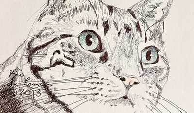 Original Drawing 3 x 5'' American Shorthair Cat Pen & Colored Pencil on Paper