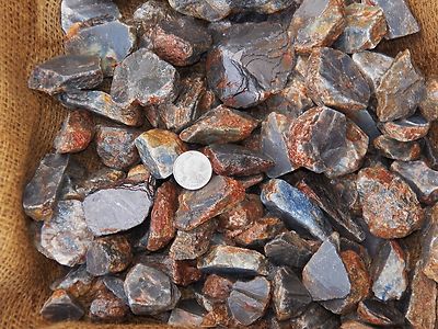 1000 Carat Lots of Blue Sapphire Rough - Plus a FREE Faceted Gemstone