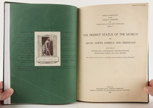 The Present Status of the Muskox in Arctic North America & Greenland 1934 Scarce - Picture 3 of 13
