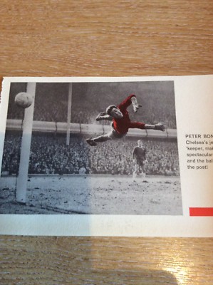 H1b Ephemera 1967 Picture Football Peter Bonetti Chelsea In Action