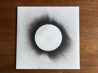 Architects   All Our Gods Have Abandoned Us US Edition LP Vinyl Top Zustand