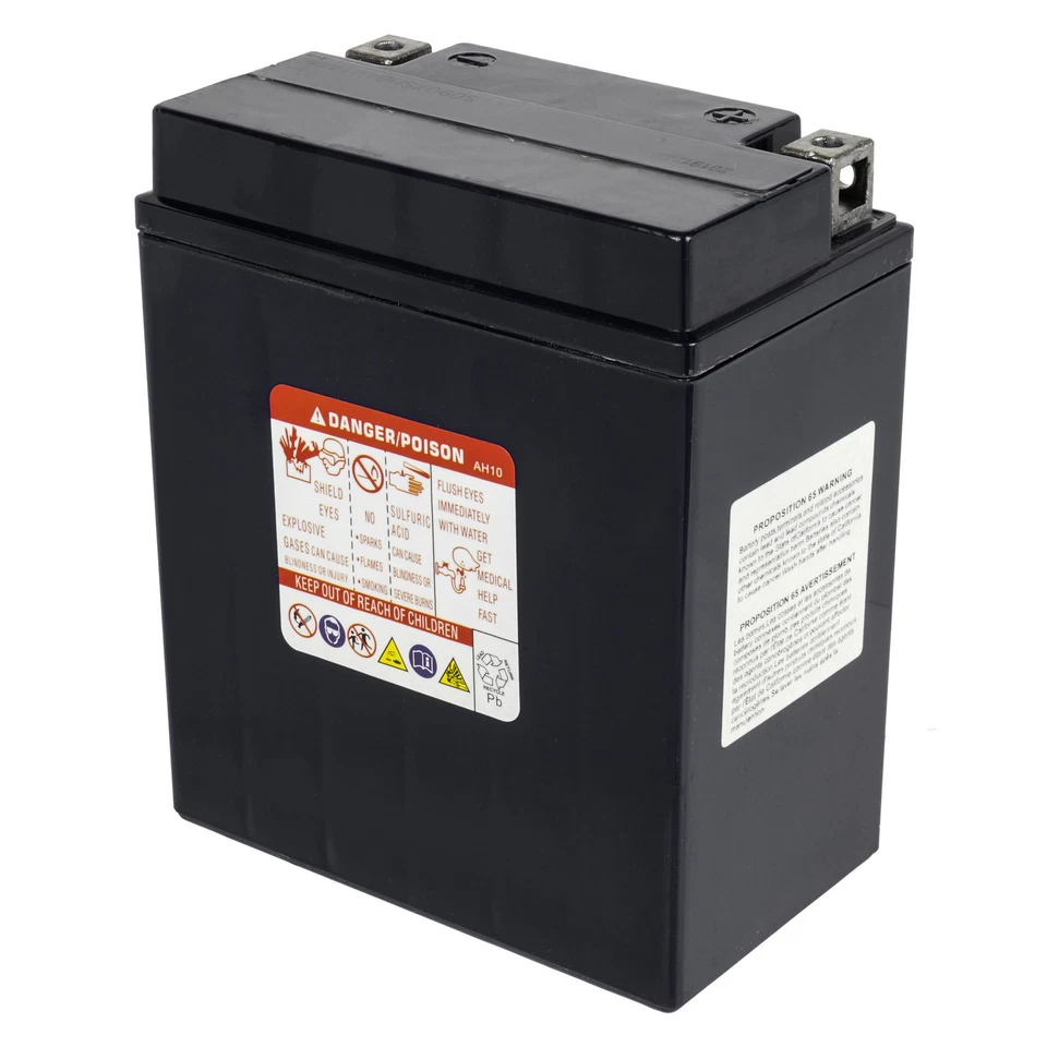 Batería AGM para Yamaha Breeze 125 YFA1 1989 1991-2004 Foto 3 de 4