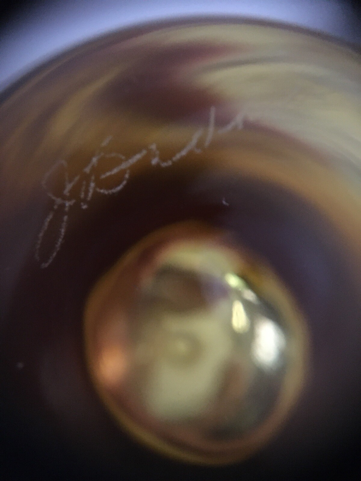 Picture 6 of 7