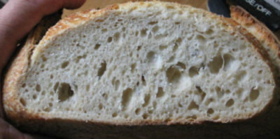 sourdough starter yeast from san francisco bay 150 years old tangy sour sally