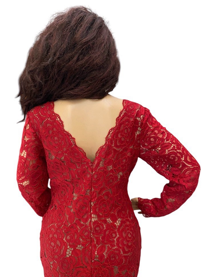 Vera Wang Lace V Neck Long Sleeves Dress(Red) Size 12 | eBay Vera Wang Lace V Neck Long Sleeves Dress(Red) Size 12 | eBay