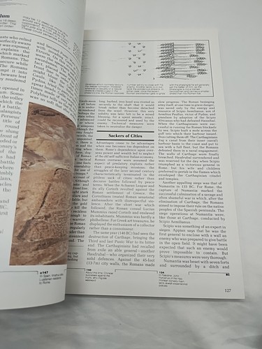 Warfare In The Classical World Book - 第 11/14 張圖片