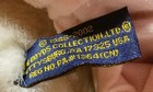Foto 11 di 12