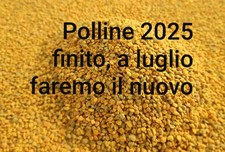 POLLINE 1 kg FRESCO DEUMIDIFICATO "D'API"  integratore multivitaminico naturale