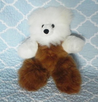 fluffy baby bear