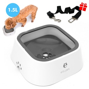 labrador messy drinker