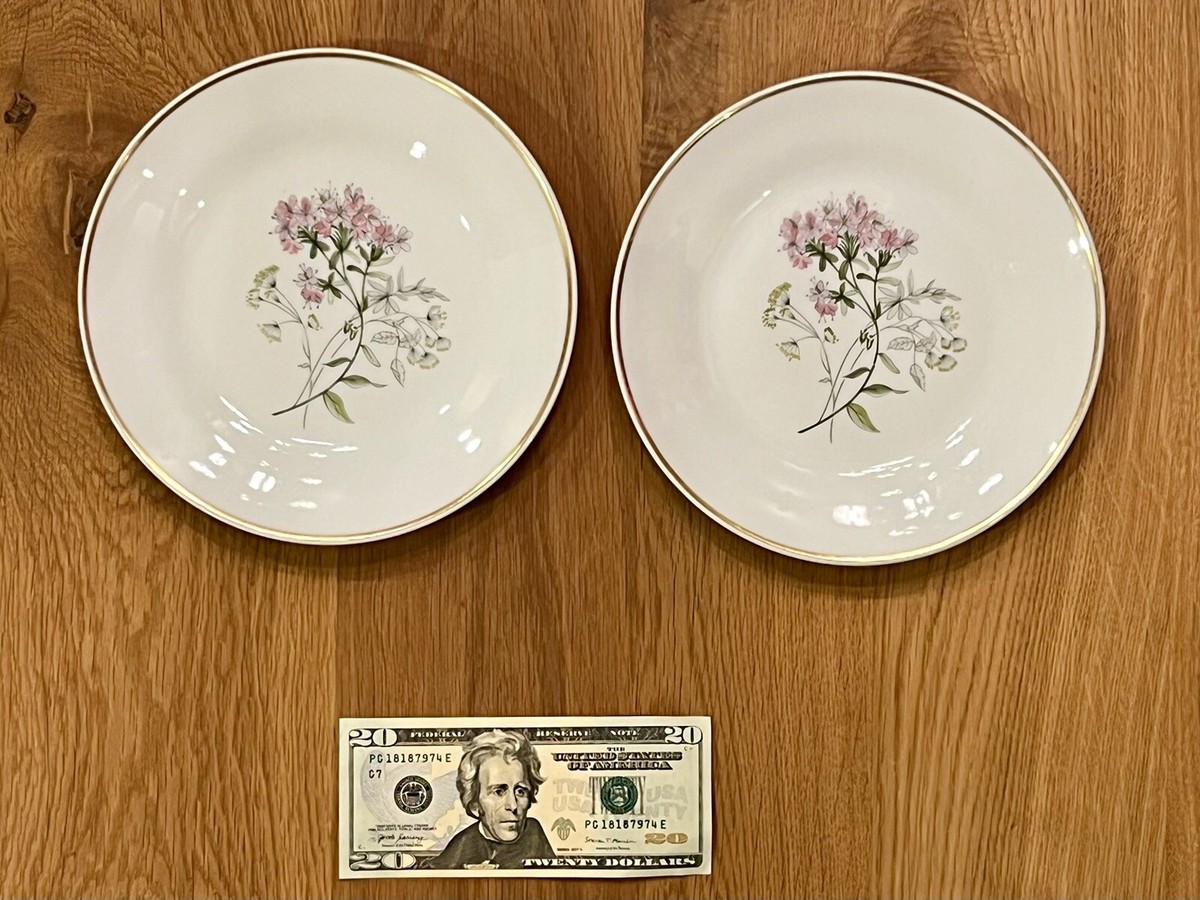 RICHARD GINORI Primavera Pink & Yellow 8” Salad Plate Fine Bone