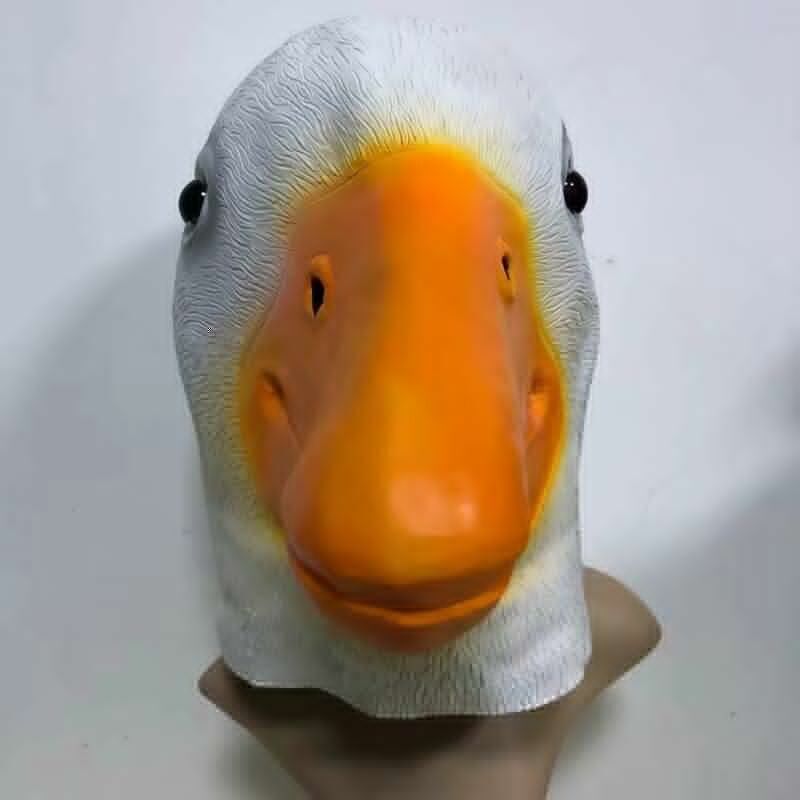 Picture 4 of 12