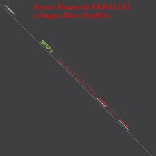 48541  SENSAS Roubasienne Mammoth PARALLEL (doppia Base )   10mt  CARPODROMO