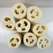 Natural Loofah Sponges Stiff 4  Long New Lot of 8 Skin Care Exfoliating