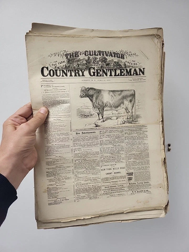 1873 Lot 40 Issues of The Country Gentleman Unbound Loose Engravings Agriculture - Image 3 of 4