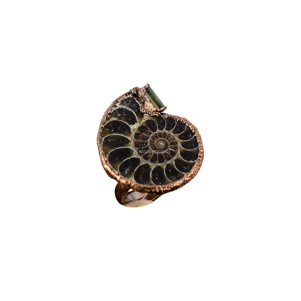 Electroformed Ammonite Fossil Ring Electroformed Ammonite Fossil Ring