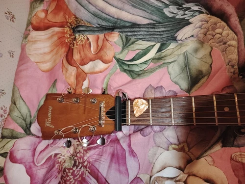 Vintage FRAMUS Westerner - Picture 9 of 17