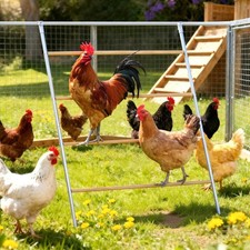 Chicken Coop Roosting Bars 55.1" L - Easy Access Chicken Ladder Included