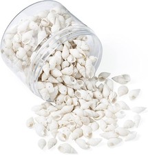 About 300pcs Natural Beach Sea Shell Beads with Holes 1mm Length 16-25mm Trum...