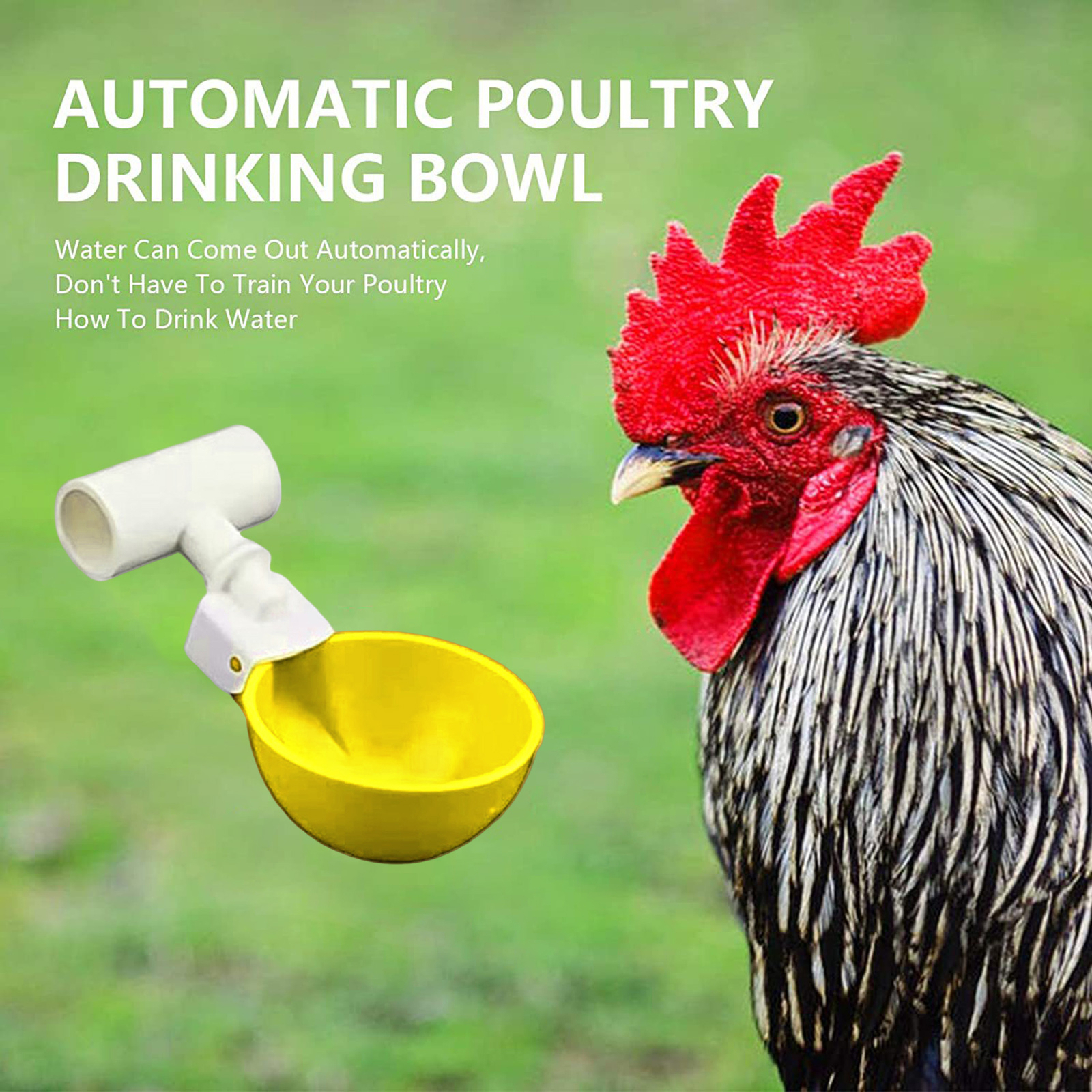 5pcs Poultry Water Feeder with 1/2 Pvc Tee Fittings Feeding Poultry