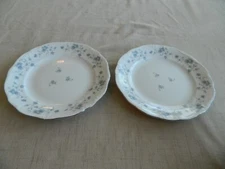 Johann Haviland "Blue Garland" (2) 9 3/4" Plates                  7-1